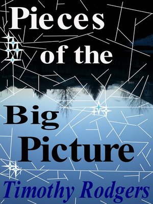 cover image of Pieces of the Big Picture